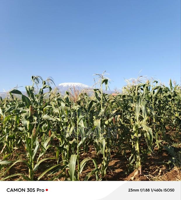 20 Acres Loitoktok Entonet Area. - thumbnail 6