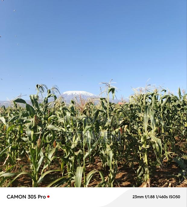 20 Acres Loitoktok Entonet Area. - thumbnail 7