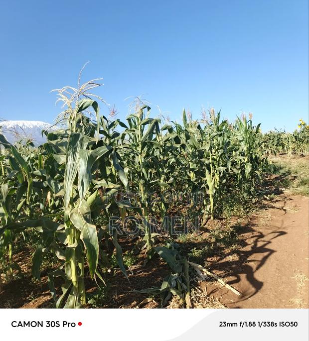 20 Acres Loitoktok Entonet Area. - thumbnail 12