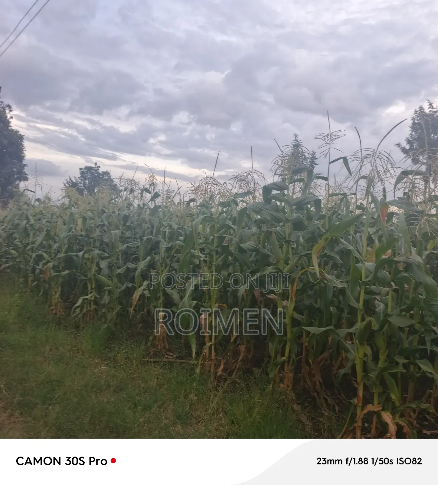 20 Acres Loitoktok Entonet Area.