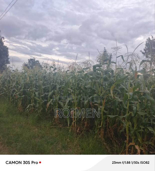 20 Acres Loitoktok Entonet Area. - thumbnail 14