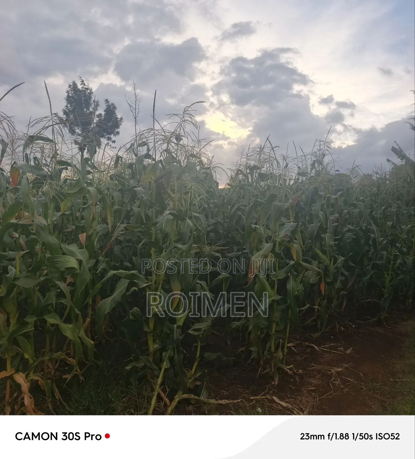20 Acres Loitoktok Entonet Area.