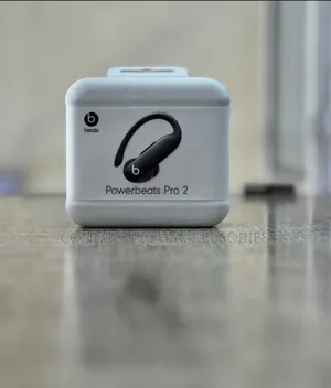 Beats Powerbeats Pro 2 Wireless Earbuds