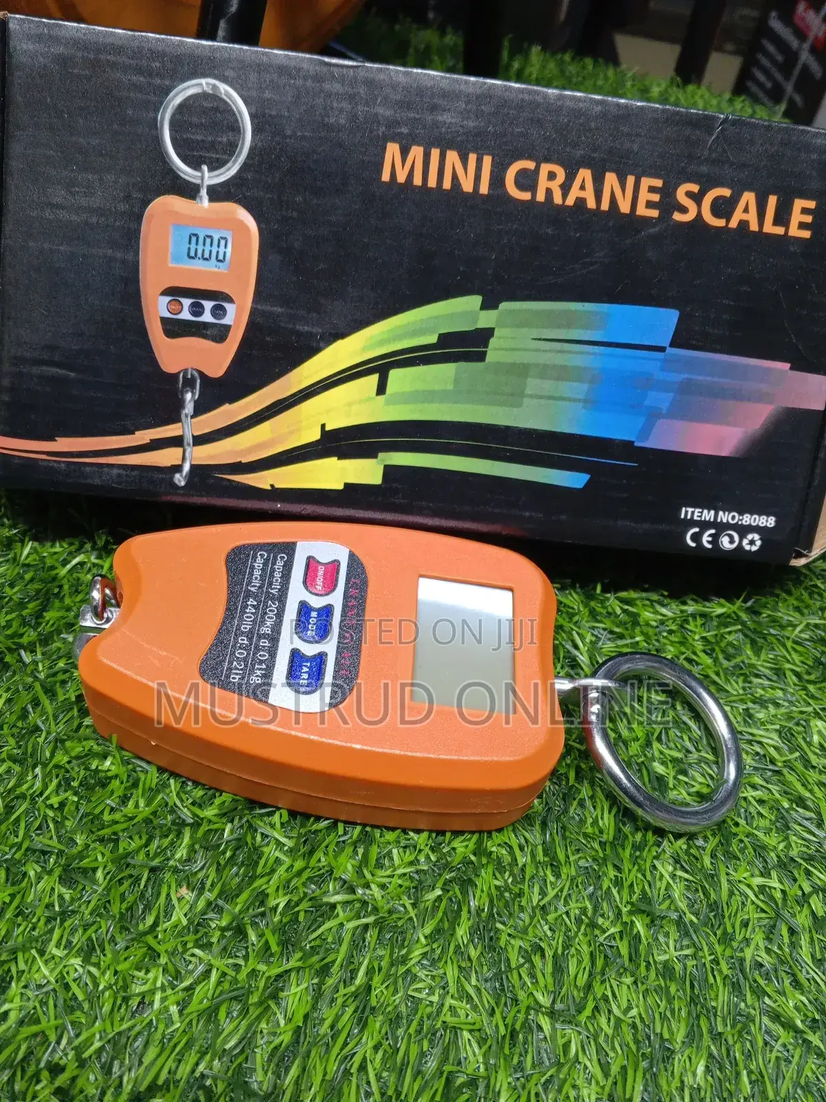200kg Minicrane Scale