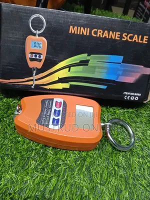 200kg Minicrane Scale
