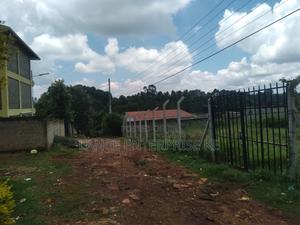 Ruaka Near Rosslyn 100by150 - main view