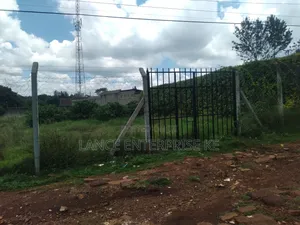 Ruaka Near Rosslyn 100by150