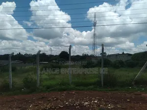 Ruaka Near Rosslyn 100by150
