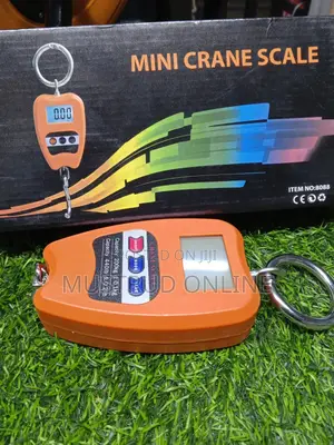 200kgminicrane