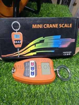 Minicrane Scale 200kg