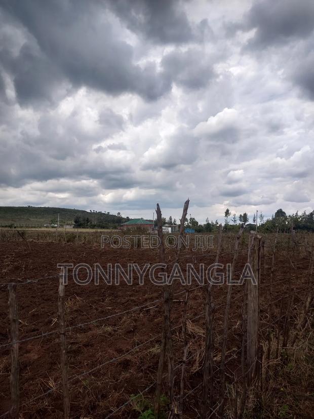 50x100 Plot - thumbnail 3