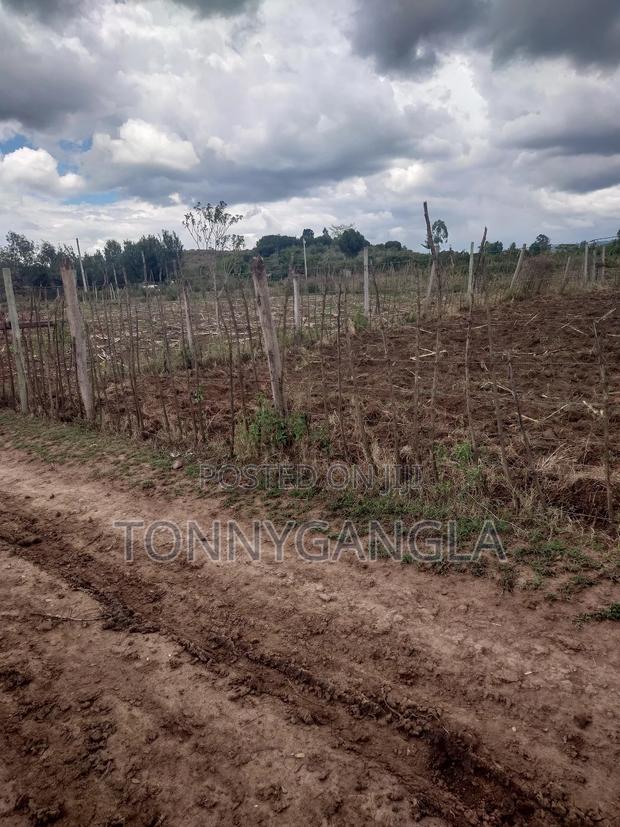 50x100 Plot - thumbnail 4