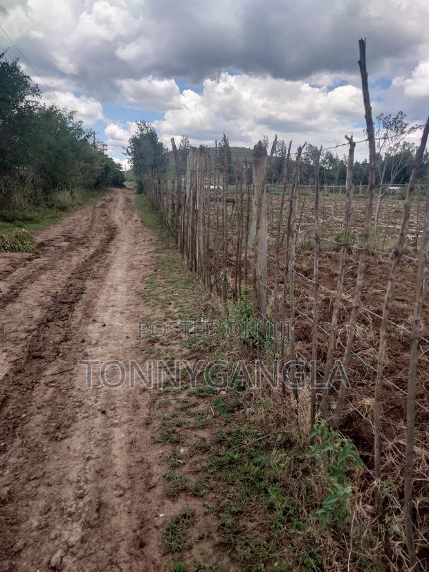 50x100 Plot - thumbnail 5