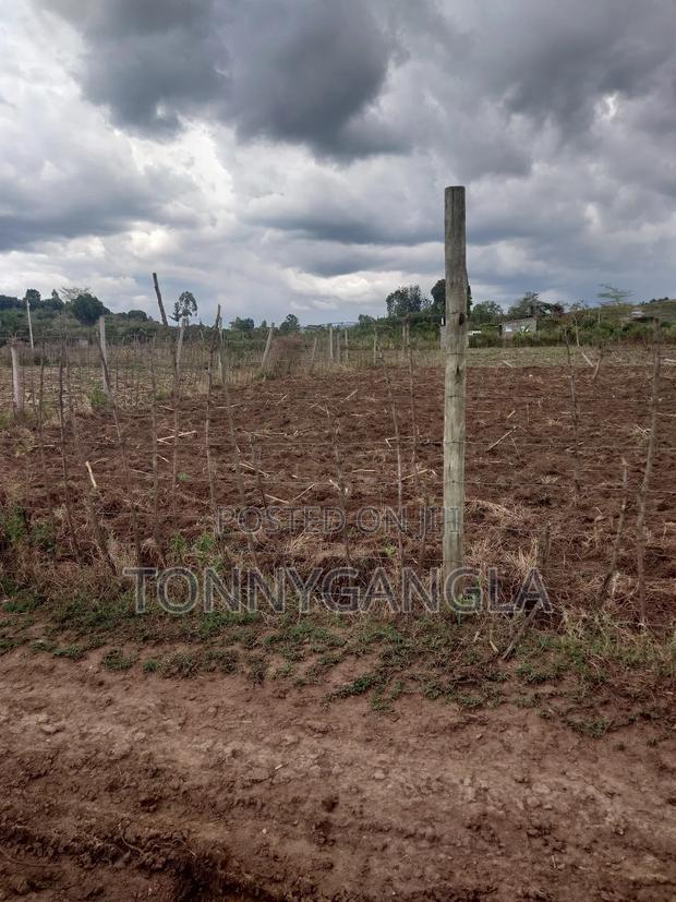 50x100 Plot - thumbnail 7