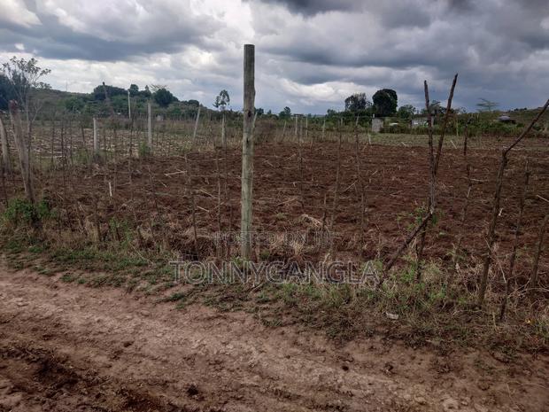 50x100 Plot - thumbnail 8