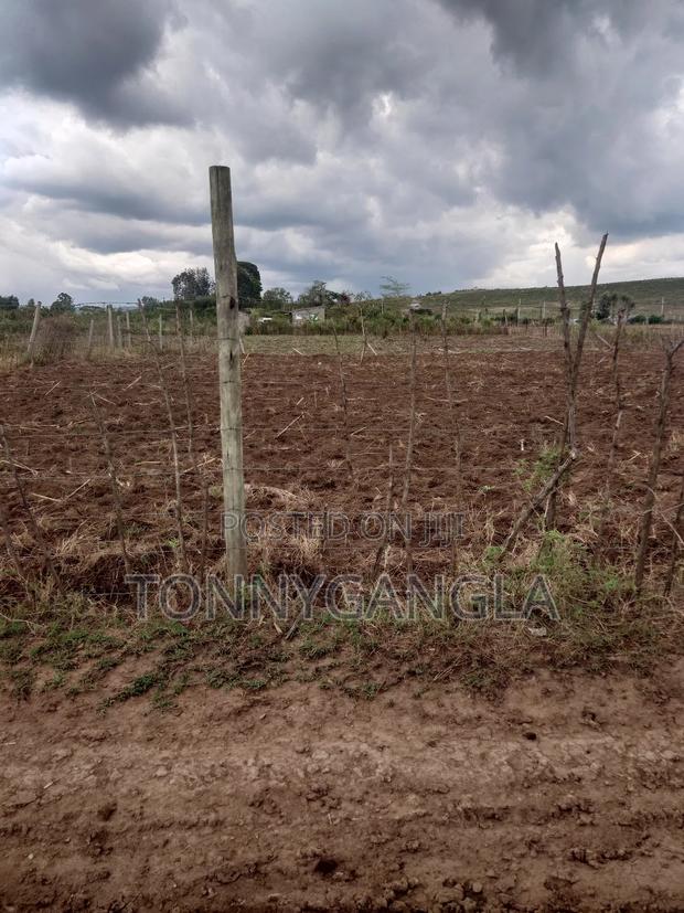 50x100 Plot - thumbnail 9