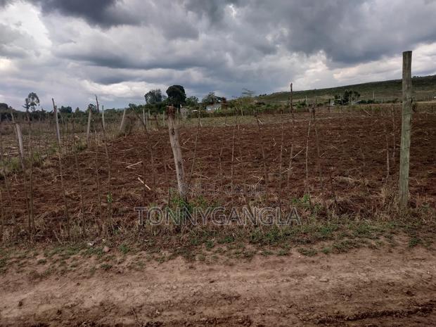 50x100 Plot - thumbnail 10