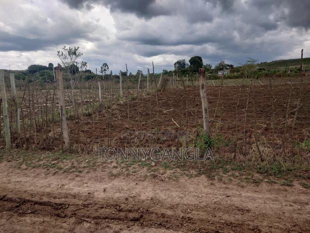 50x100 Plot - thumbnail 11