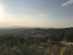 5 Acres Mua Hills With Cottages