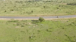 Prome 5 Acres Eiti Touching Tarmac