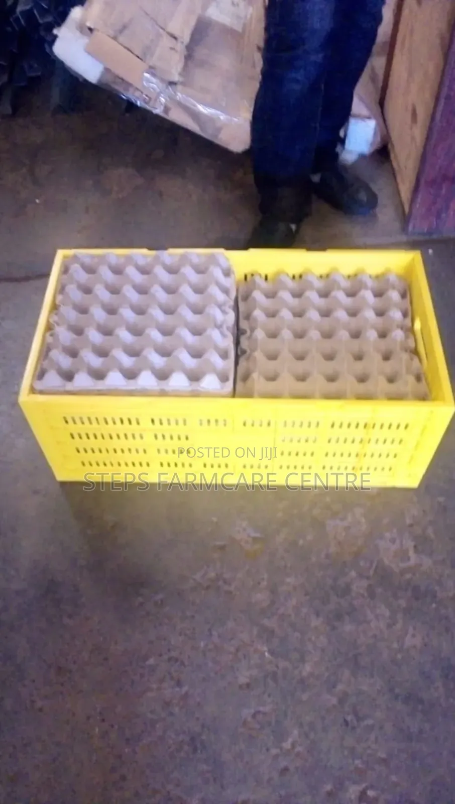 Plastic Eggs Transportation Crates