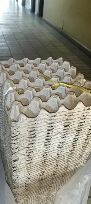 Heavy Duty Paper Egg Trays