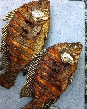 Ready Tilapia Fish