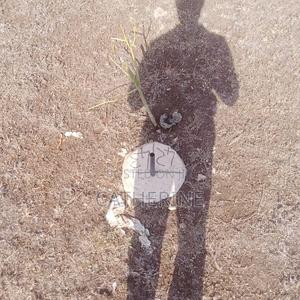 Plot for Sale - thumbnail 2