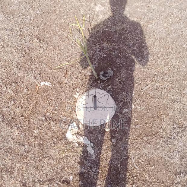 Plot for Sale - main view