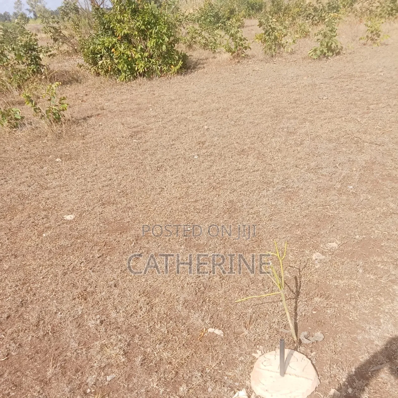 Plot for Sale