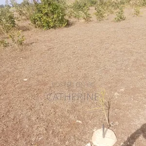 Plot for Sale