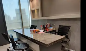 Executive Offices Fopr Busy Executives-private