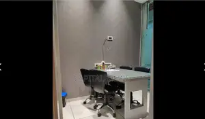 Executive Offices Fopr Busy Executives-private