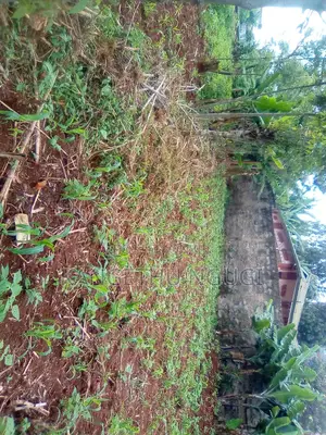 50x100 Commercial Plot At Kirigiti Kiambu