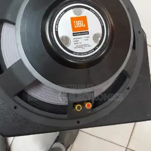 JBL 15 Inches Naked Speaker