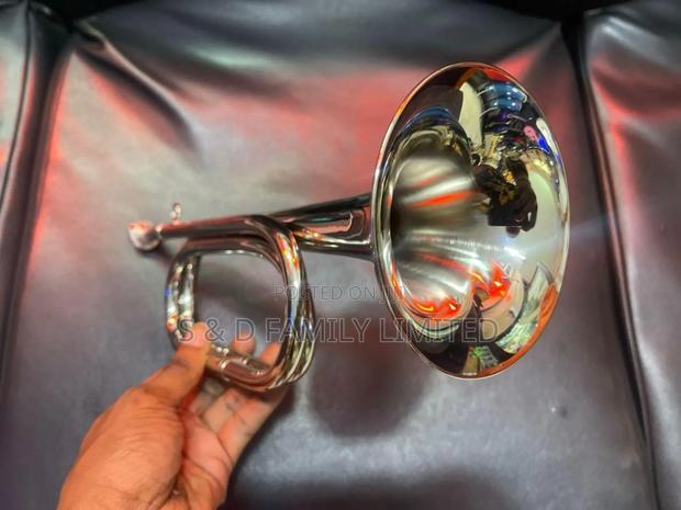 Bugle Horn - main view