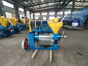 Bigger Oil Pressing Machine