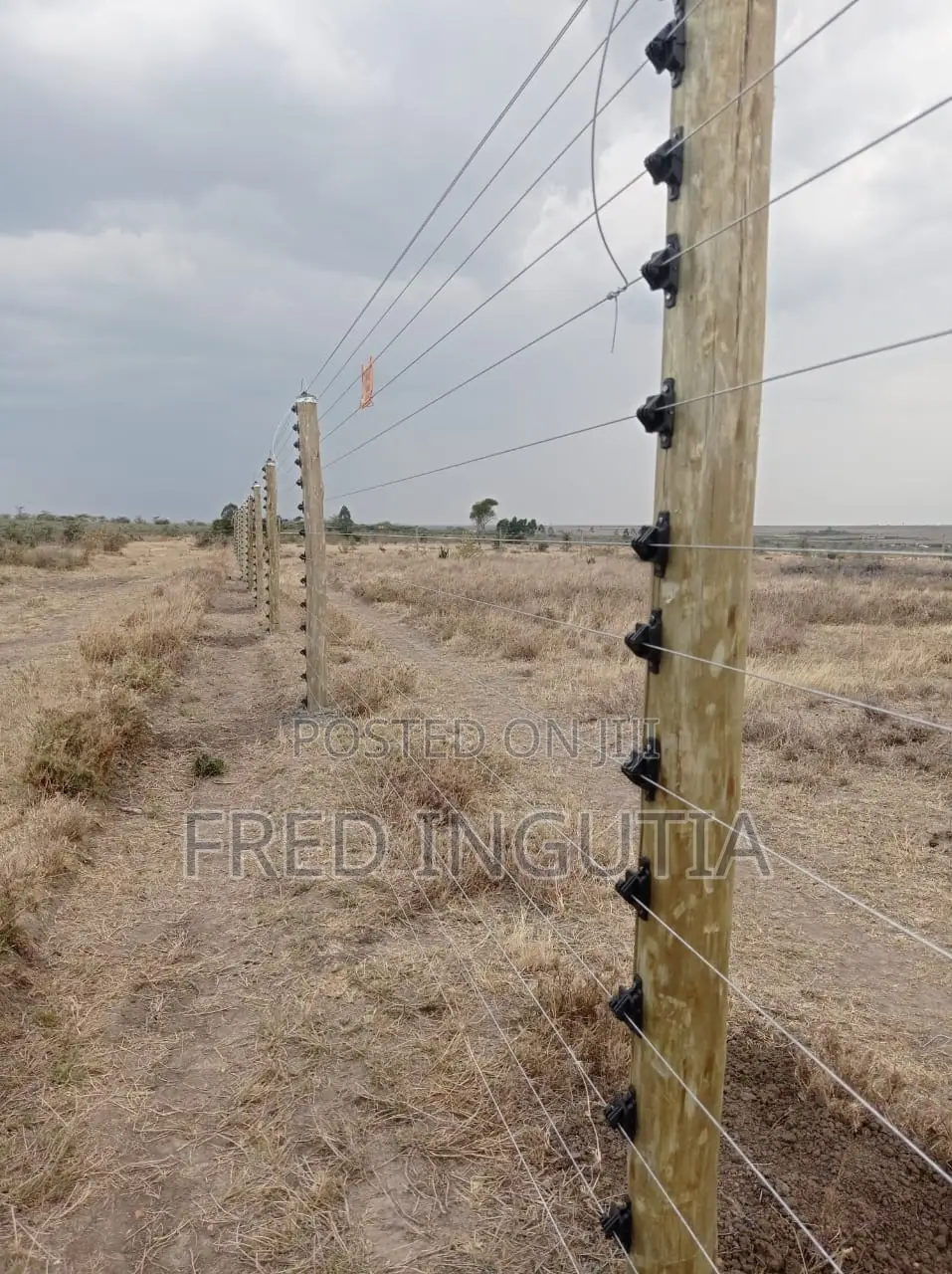 Electric Fencing Poles