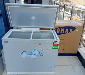 Ecomax 219litres Chest Freezer Bd-219 Litres