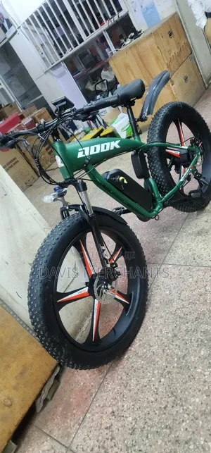Electric Bike With Lithium Battery