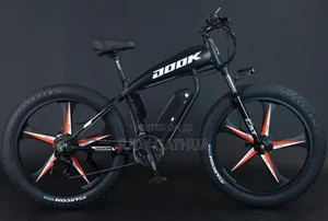 Electric Bike Dook