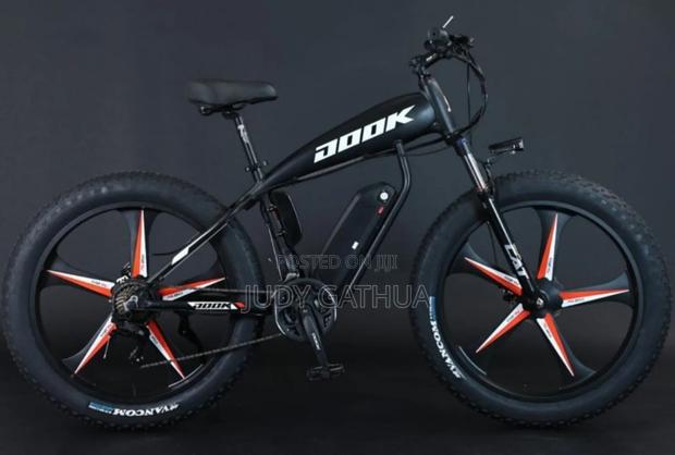 Electric Bike Dook