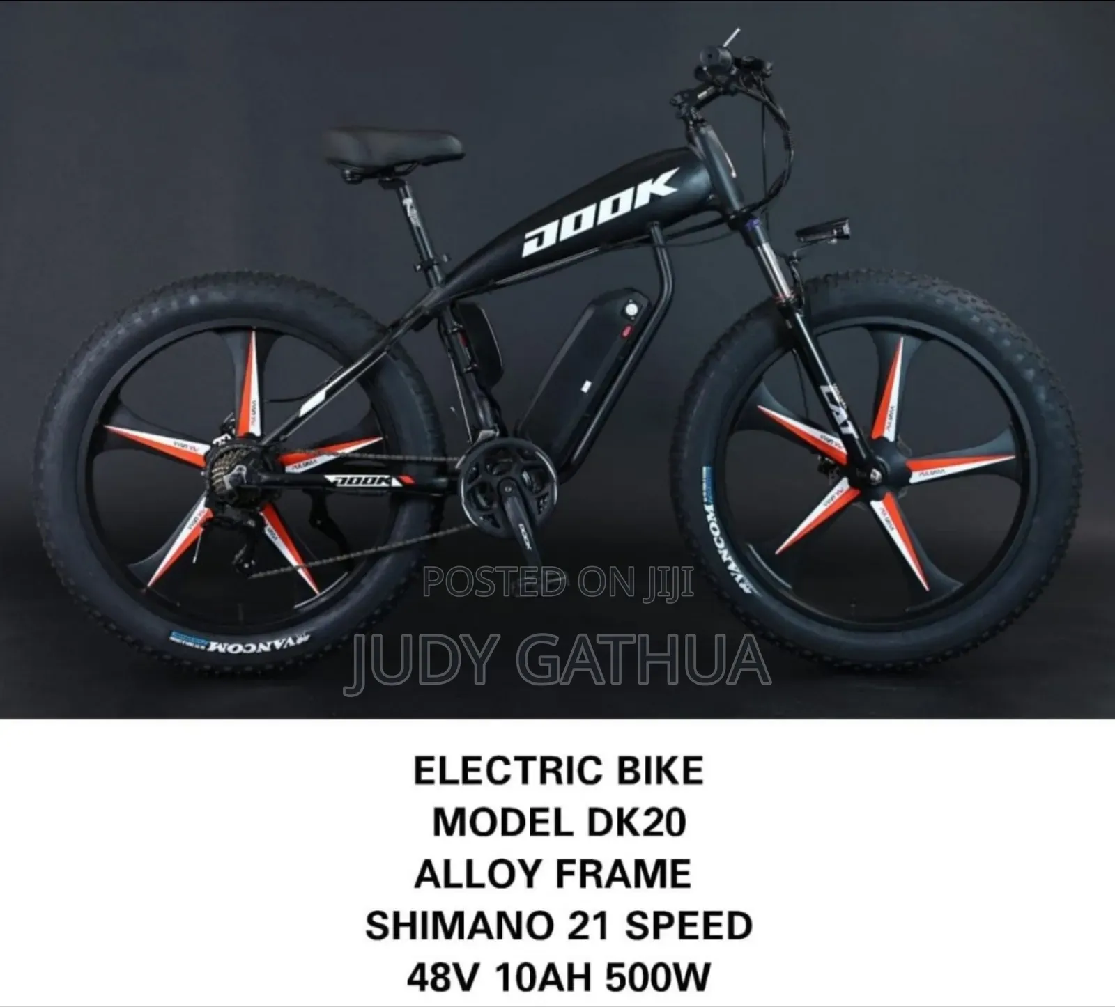 Electric Bike Dook