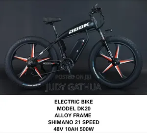 Electric Bike Dook