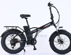 Electric Bike 48v Battery