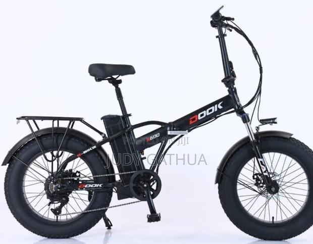 Electric Bike 48v Battery