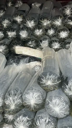 Commercial Grade Tilapia Fingerlings For Sale