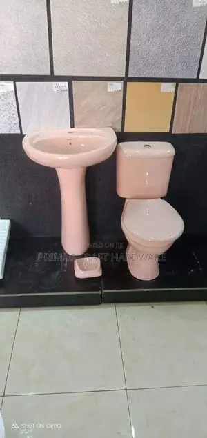 Toilet Ceramic Pink