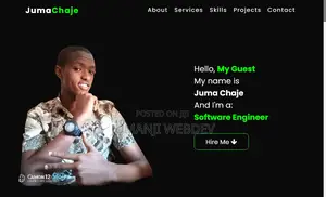 Experienced Pro Software Developer And It Support Specialist