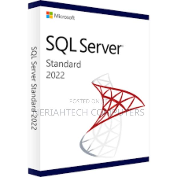 SQL Server STD 2022 - main view